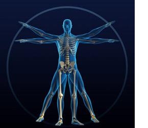 Kinesitherapie Walravens Koen